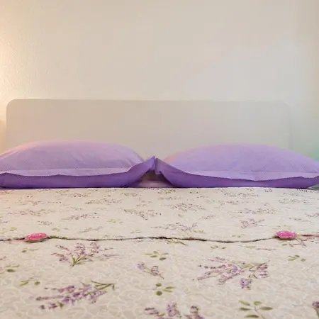 Apartamento Laguna *